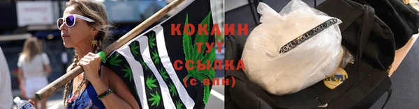 PSILOCYBIN Володарск