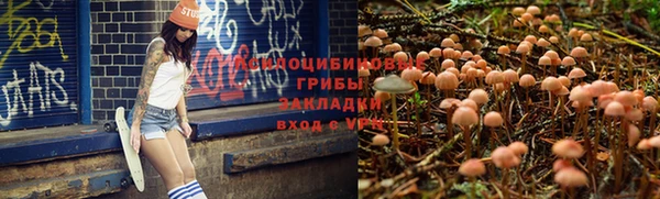 PSILOCYBIN Вязники