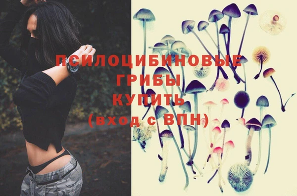 PSILOCYBIN Володарск