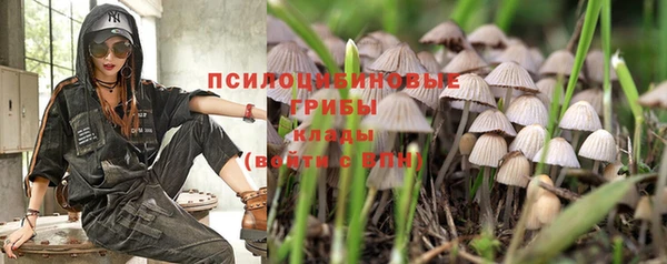 МДПВ Волосово