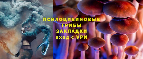 МДПВ Волосово