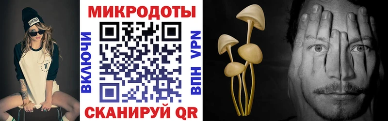 Галлюциногенные грибы MAGIC MUSHROOMS Купить Темников