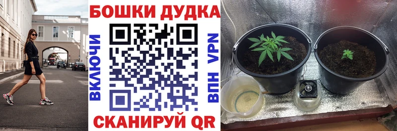 Каннабис THC 21% Темников